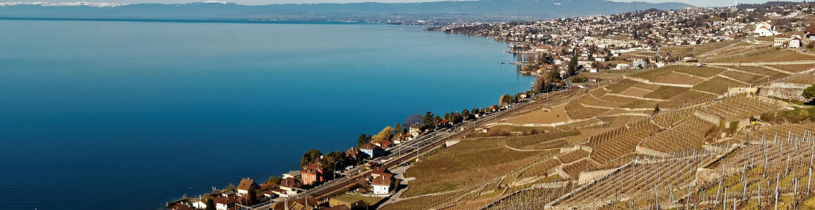 Comprendre l’impôt foncier vaud : Guide complet pour les propriétaires en 2025